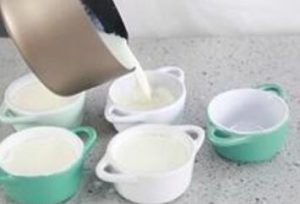 double skin milk dessert
