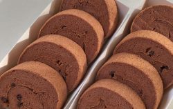 Rich chocolate cake roll