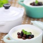 double skin milk dessert recipe